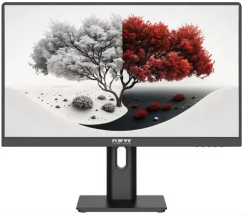 Монитор RDW Computers RDW2401K